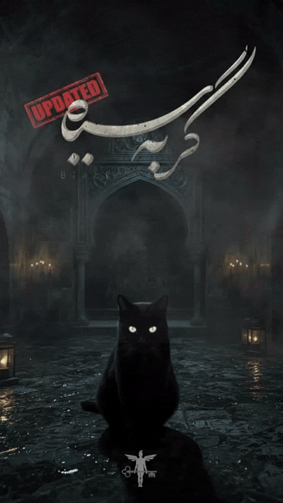 GIF گربه سیاه