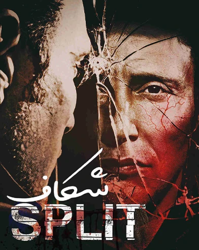 شکاف