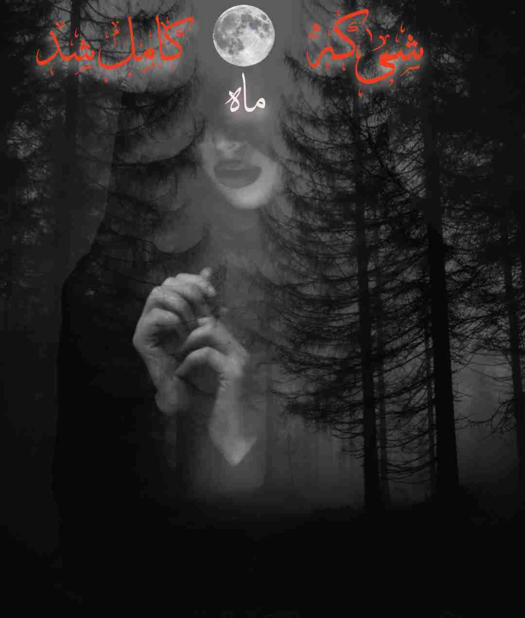 شبی که ماه کامل شد