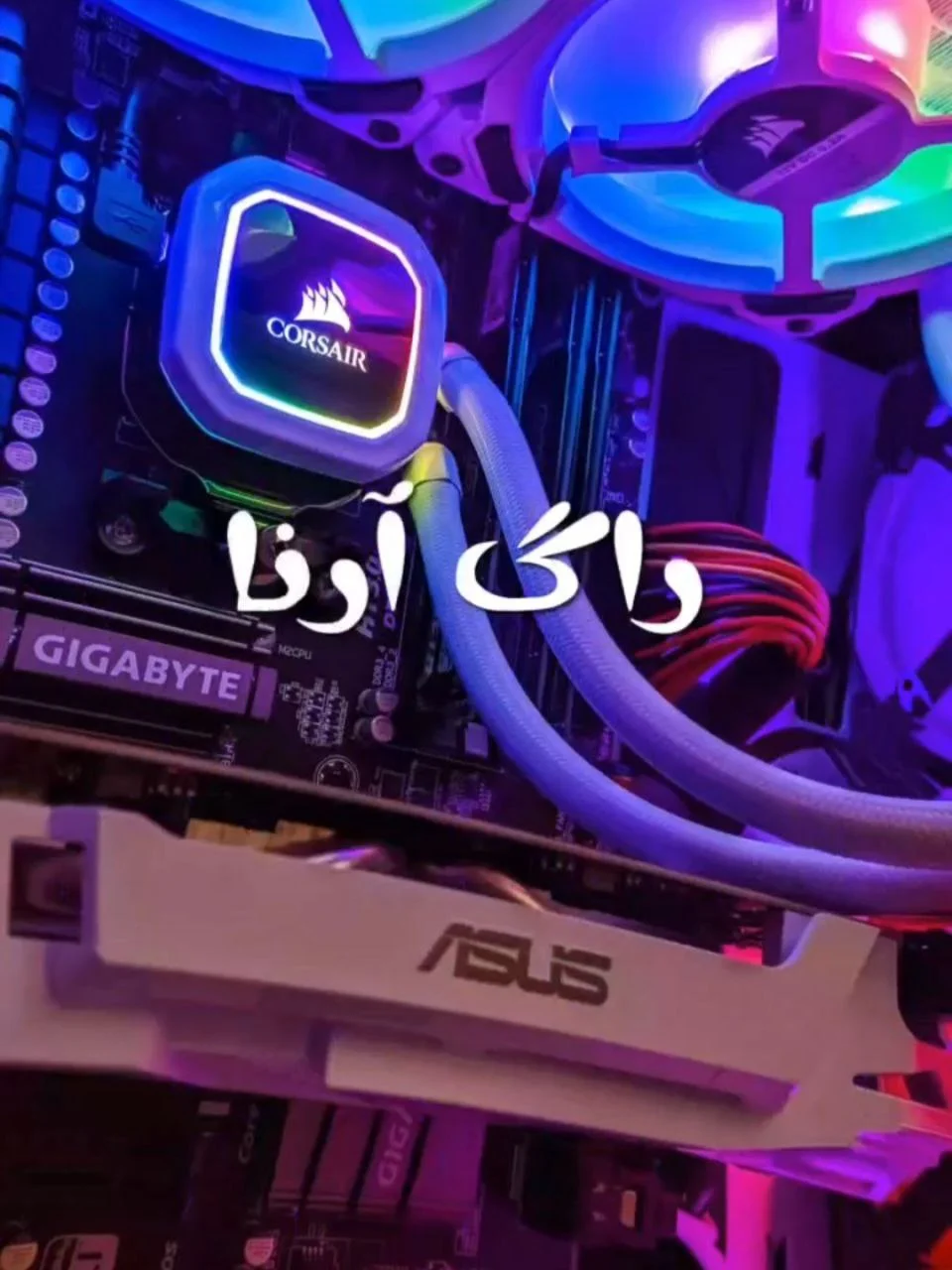 راگ آرنا (RogArena)