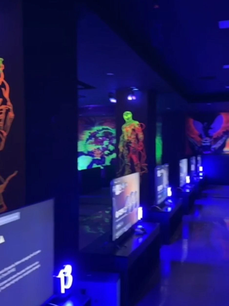 سیسیلی (Sicily)