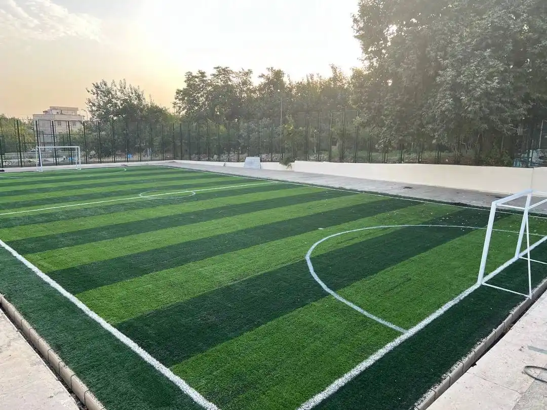 مجتمع توریستی کن